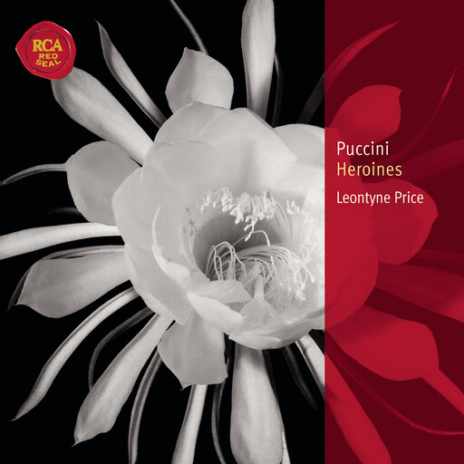 少妇双飞后菊直肠
